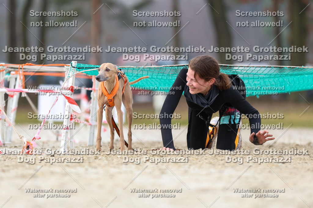 Dog Paparazzi - Strongdog North Mrz26-3946 | Dog Paparazzi Jeanette Grottendiek Fotografie & Videografie - Realisiert mit Pictrs.com