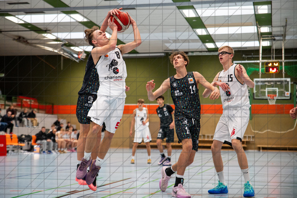 JBBL 24/25 | 23.11.2024 | Charisma Young Bulls vs. UBC Münster  | JBBL 24/25 | 23.11.2024 | Charisma Young Bulls vs. UBC Münster - - - - - CREDIT, www.bullenfotos.de, Martin König, Hörner Weg 40, D-49078 Osnabrück, +4917663732967, Nutzung und Weitergabe nur zu den vereinbarten Zwecken. Presseanfragen an Urheber. Alle Rechte beim Urheber. - - - - - - Realisiert mit Pictrs.com