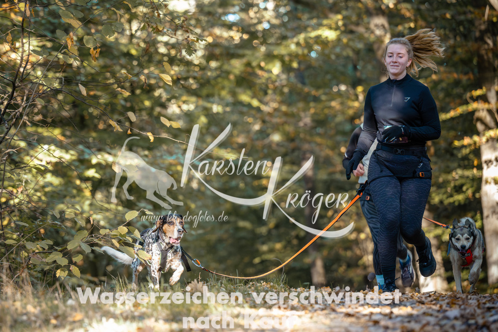 1037_ZZ90552 | kk-dogfotos