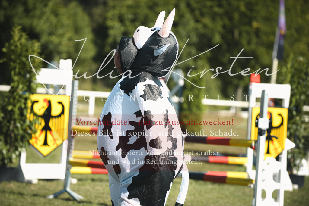 DSC_7755 | Pferde- und Turnierfotografie in Westsachsen. Pferdeportraits, Auftragszeichnungen und intuitive Kunst.