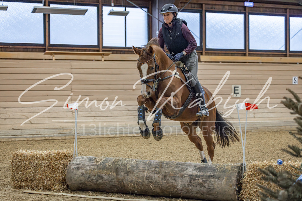 20260221-_3LI8356 | Tierfotografie Pferde, Hunde, Katzen, Haustiere.
Turnierfotografie Reitturniere, Reiten, Springreiten, Dressur in Hanau, dem Main-Kinzig-Kreis und dem Rhein-Main- Gebiet um Frankfurt