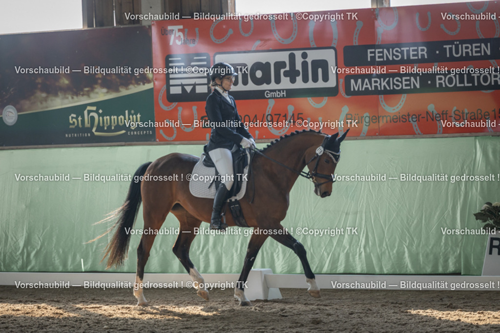 _D5A8418 | Emotionale Pferde- & People-Fotografie rund um Heidelberg, Leimen & Umgebung. Natürliche Fotos von Pferd, Mensch & Familie. Jetzt Termin sichern!