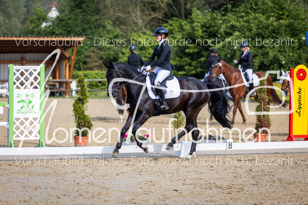 Donop24-A-Dre-122 | MomenTaufnahmen Pferdesportfotos