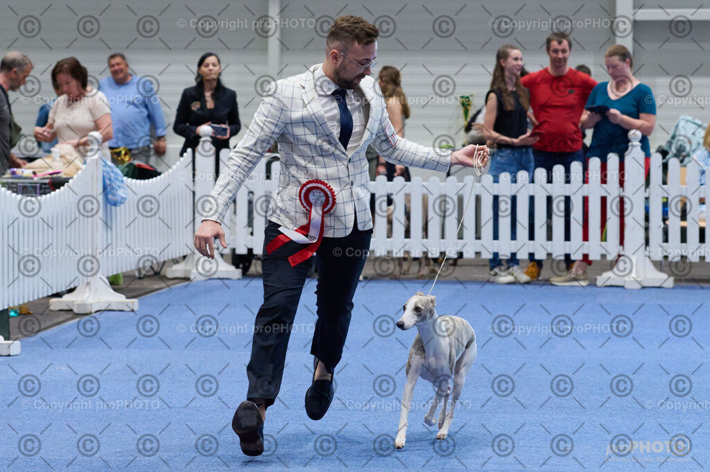 202406_ÖKV-IHA-Tulln24_DSC_5243 | proPHOTO - Realisiert mit Pictrs.com