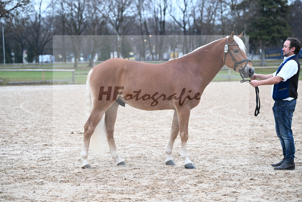 Kat-Nr. 22 Niolando v. Nio_Kirchberger_48252016 | hf-fotografie - Realisiert mit Pictrs.com