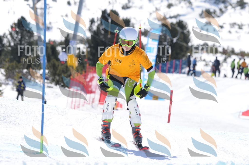 C9317 | holidayphoto