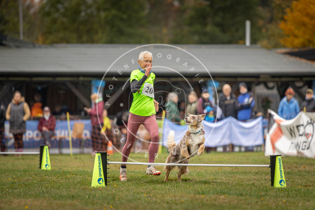 Pfotenfotografie_DV3A1685 | Hundefotografie, Tierfotograf, Pfotenfotografie, Fotoshooting Hund, Hunde Portrait, Hundesport, Hundeportraits, Heideshooting, Hunde, Sportfotograf, Hundefotograf, Turnierhundsport, THS,  - Realisiert mit Pictrs.com
