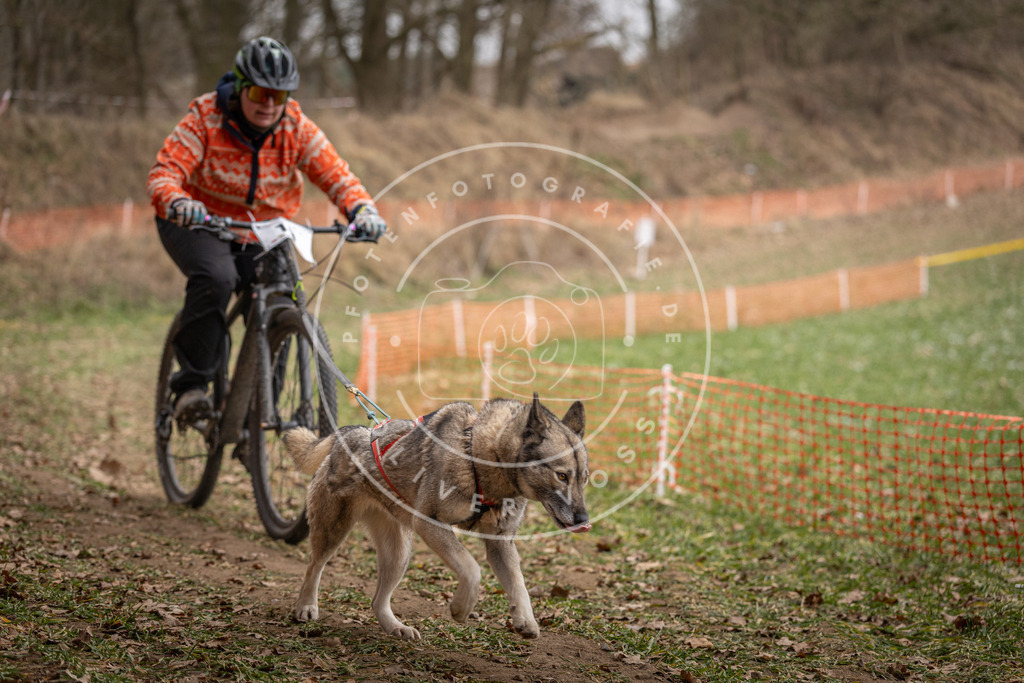 Pfotenfotografie_DV3A6938 | Hundefotografie, Tierfotograf, Pfotenfotografie, Fotoshooting Hund, Hunde Portrait, Hundesport, Hundeportraits, Heideshooting, Hunde, Sportfotograf, Hundefotograf, Turnierhundsport, THS,  - Realisiert mit Pictrs.com