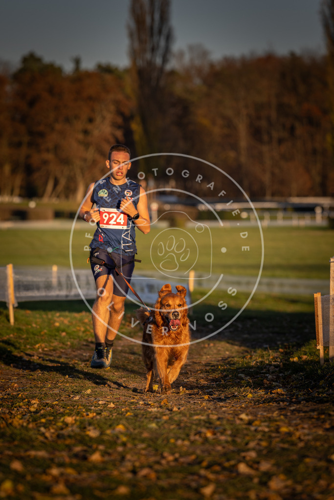 CaniXpix_DV3A4991 | Hundefotografie, Tierfotograf, Pfotenfotografie, Fotoshooting Hund, Hunde Portrait, Hundesport, Hundeportraits, Heideshooting, Hunde, Sportfotograf, Hundefotograf, Turnierhundsport, THS,  - Realisiert mit Pictrs.com