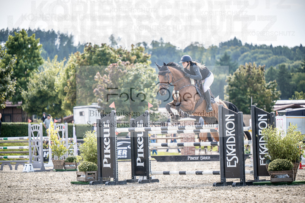 DOS_0967 | Entdecke hochwertige Reitturnierfotos von Foto Oger. Professionell, emotional und authentisch – jetzt Lieblingsmomente im Shop bestellen.Deutschlandweite Turnierfotografie. - Realisiert mit Pictrs.com