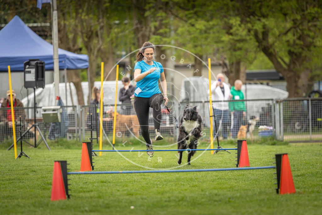 Pfotenfotografie_DV3A2417 | Hundefotografie, Tierfotograf, Pfotenfotografie, Fotoshooting Hund, Hunde Portrait, Hundesport, Hundeportraits, Heideshooting, Hunde, Sportfotograf, Hundefotograf, Turnierhundsport, THS,  - Realisiert mit Pictrs.com