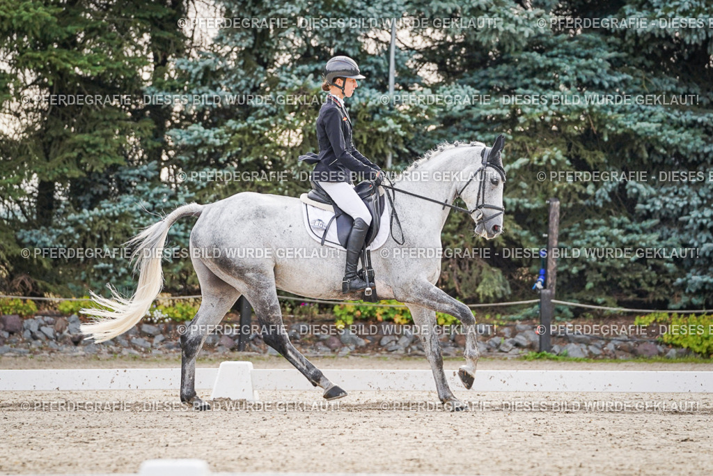 DSC00111 | Pferdegrafie