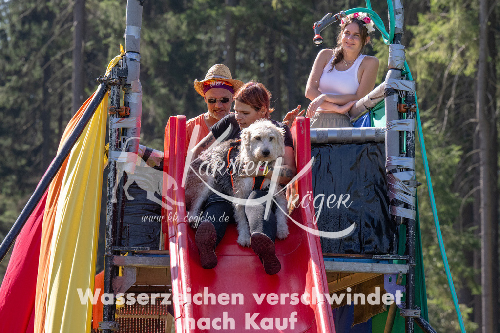 1207_ZZ90849 | kk-dogfotos