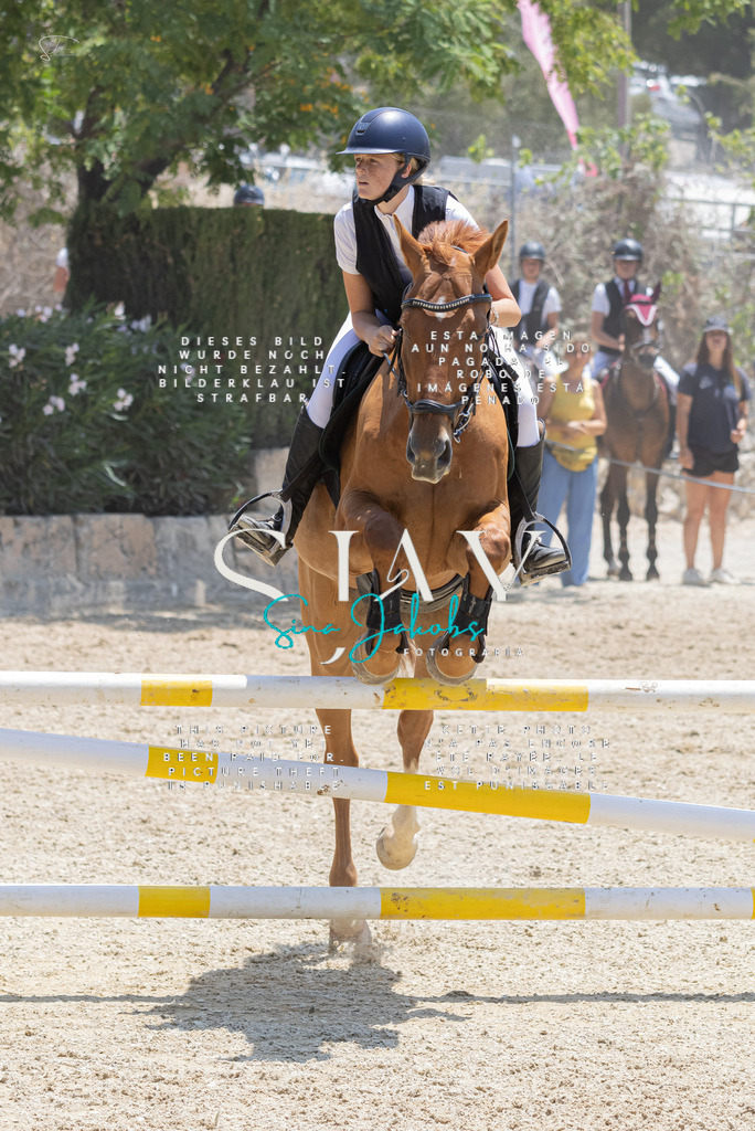 IMG_1947 | s-jay-photography - Realisiert mit Pictrs.com