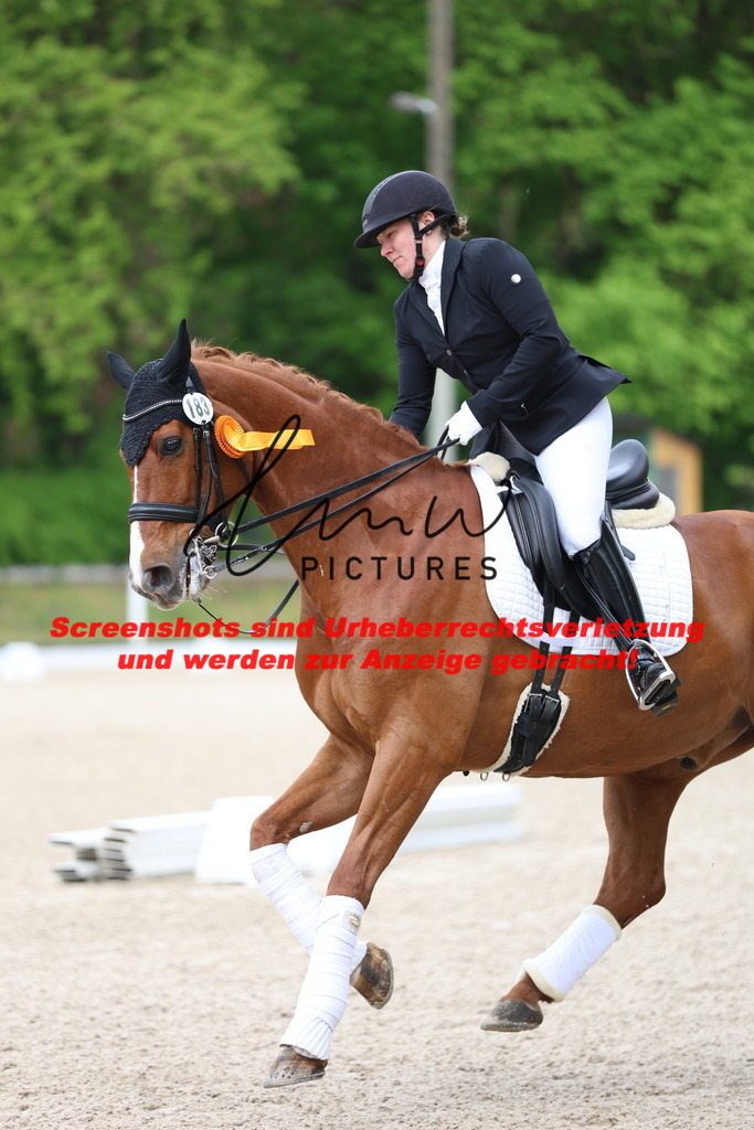 A40A4450 | lmwpictures - Realisiert mit Pictrs.com