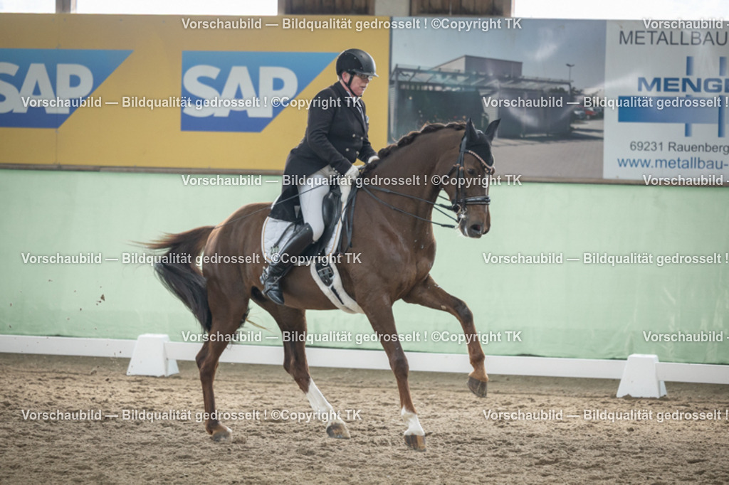 _D5A5354 | Emotionale Pferde- & People-Fotografie rund um Heidelberg, Leimen & Umgebung. Natürliche Fotos von Pferd, Mensch & Familie. Jetzt Termin sichern!