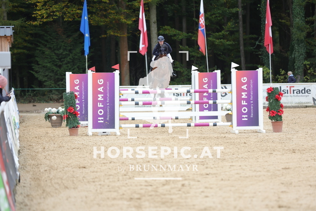 0P6A7564 | Willkommen bei Brunnmayr - Design & Fotografie – Ihrem Spezialisten für Reitturniere und Pferdeveranstaltungen in Oberösterreich, Salzburg und Bayern! Seit über 17 Jahren sind wir leidenschaftlich dabei.