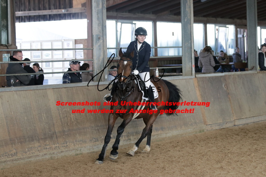 IMG_2650 | lmwpictures - Realisiert mit Pictrs.com