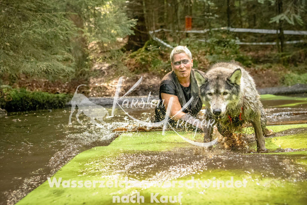 1406_ZZ91025-Bearbeitet | kk-dogfotos