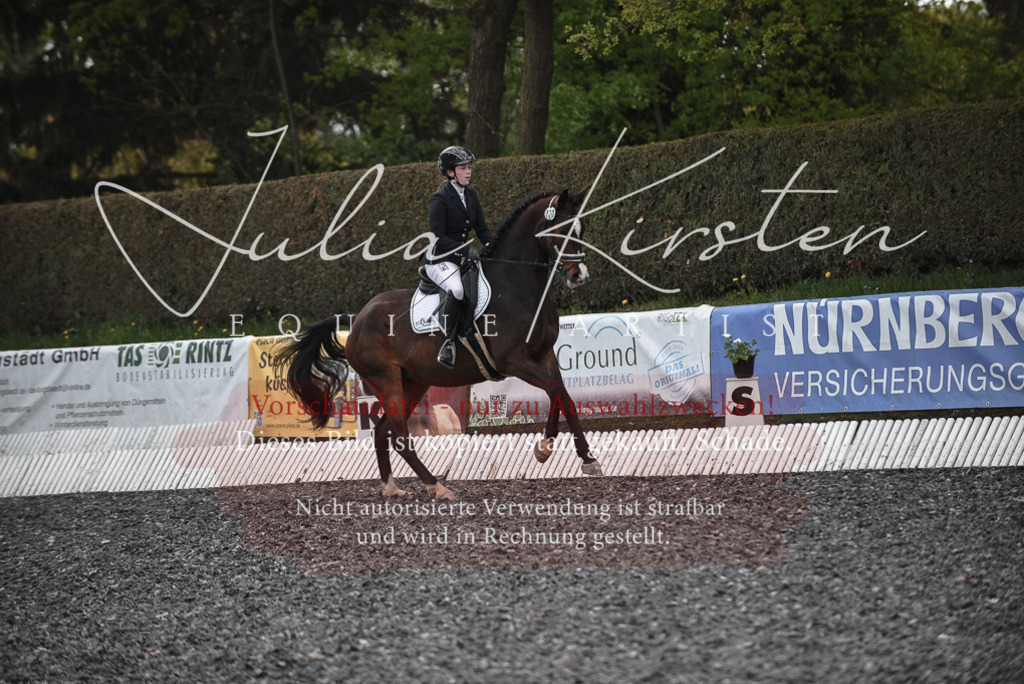 20230513_JK-Röhrsdorf-14-972 | Pferde- und Turnierfotografie in Westsachsen. Pferdeportraits, Auftragszeichnungen und intuitive Kunst.