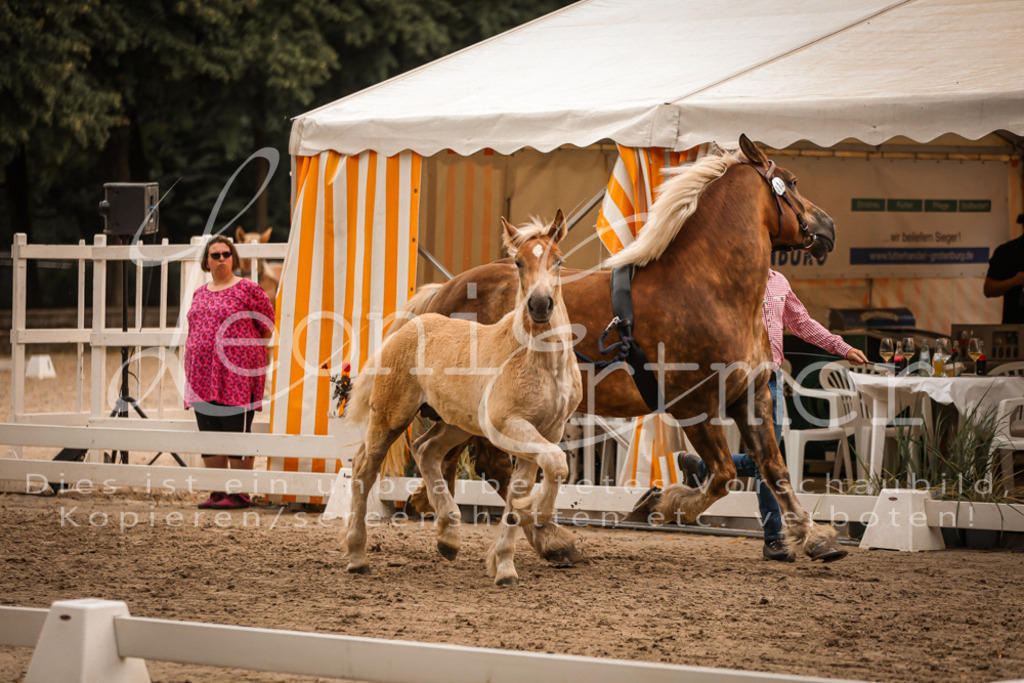 SaHF00091 | Leoni Ertmer Photography - Realisiert mit Pictrs.com