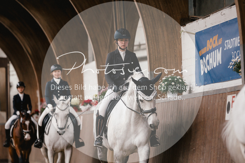 3I6A7334 | Stimmungsvolle Portraits und Reitsportfotografie im Ruhrgebiet und im Münsterland.

Pferdefotografie, Hundefotografie, Tierfotografie, Reportagen, Portraits von Tier und Mensch, Turnierfotografie in Bochum, Recklinghausen, Marl, Haltern am See, Dülmen.. - Realisiert mit Pictrs.com
