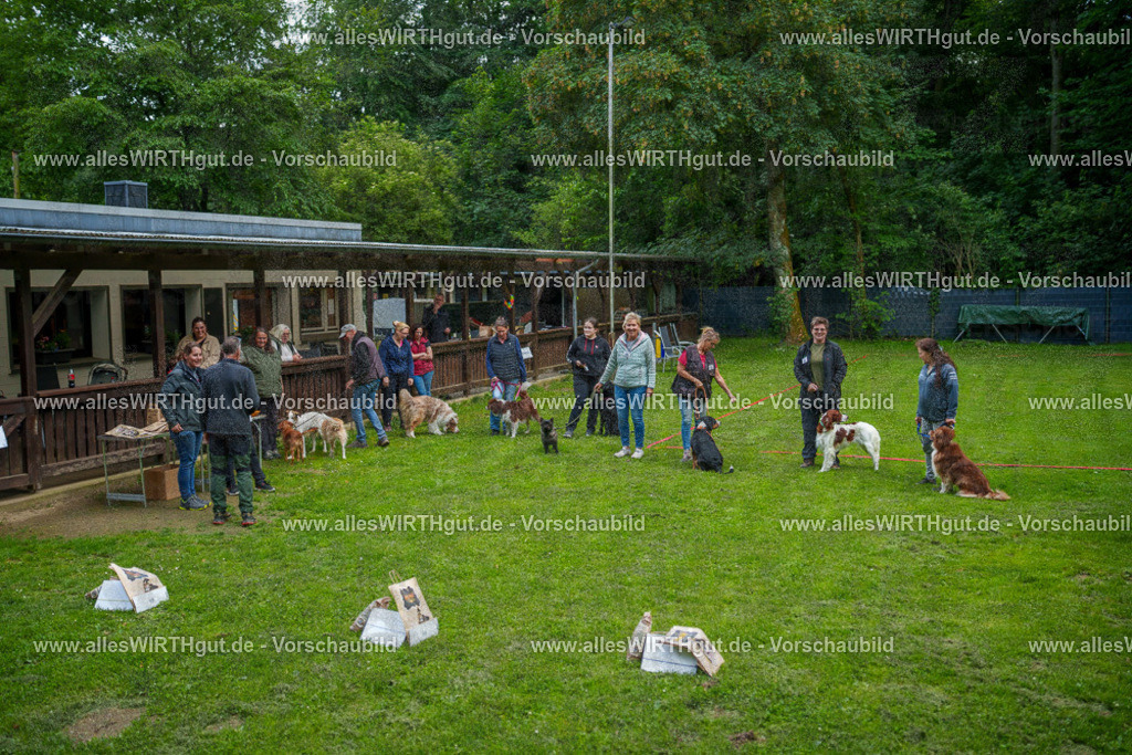 @allesWIRTHgut_Tierfotografie - www.allesWIRTHgut.de - 7R505991 | Professionelle Tierfotografie in Mönchengladbach von Daniel Wirth (allesWIRTHgut). Liebevolle & natürliche Bilder von Hunden & Katzen für unvergessliche Erinnerungen.