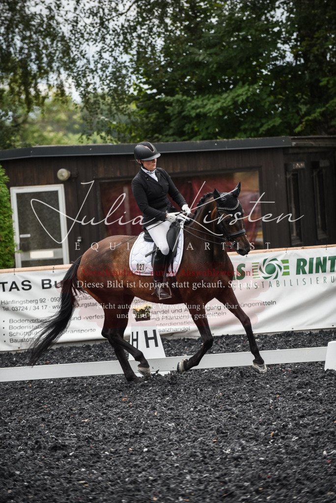 DSC_4893 | Pferde- und Turnierfotografie in Westsachsen. Pferdeportraits, Auftragszeichnungen und intuitive Kunst.