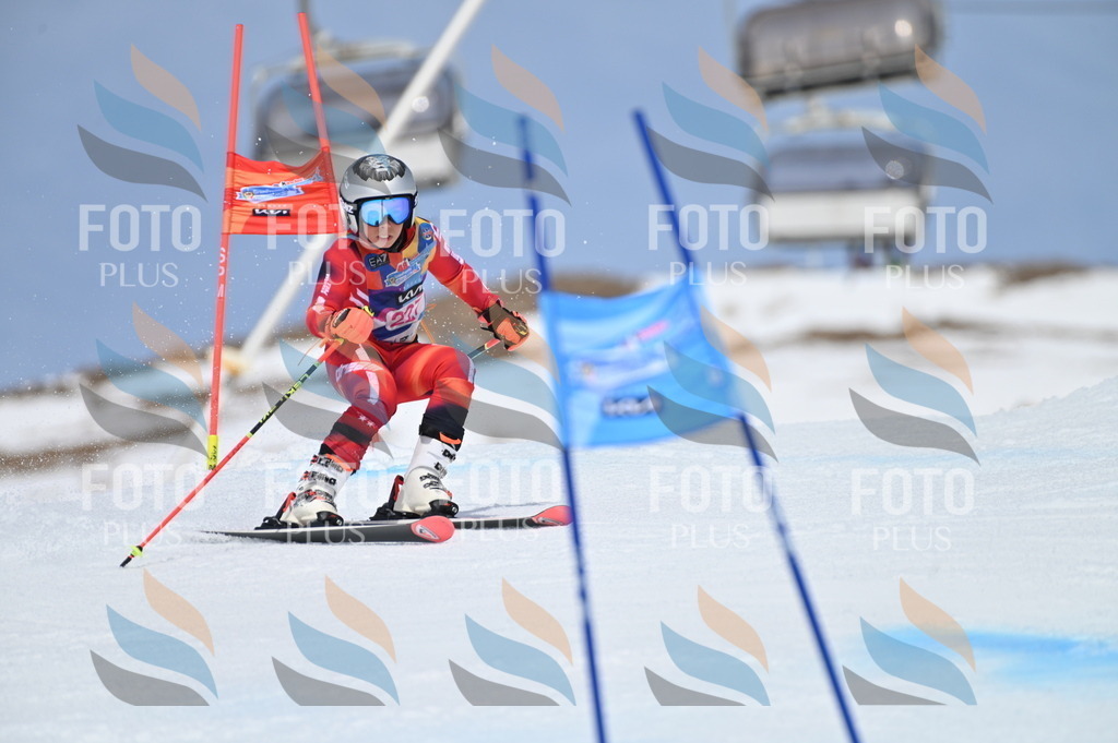 BGV_1435 | holidayphoto