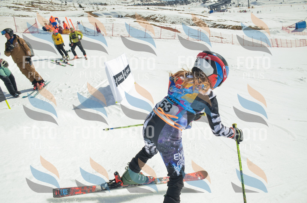 _ELE5226 | holidayphoto