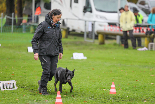 2025_Rally_Obedience_SM-83 | Ich fotografiere Hundeausstellungen, Sportanlässe, Zuchtstätten, Hundezucht, Hundeportrait, Lagotto - Realisiert mit Pictrs.com