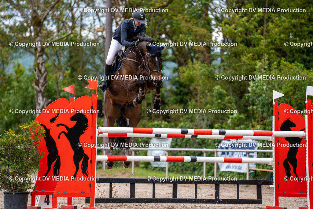 Eppelheim Tag 1-273 | dv-media-shop - Realisiert mit Pictrs.com