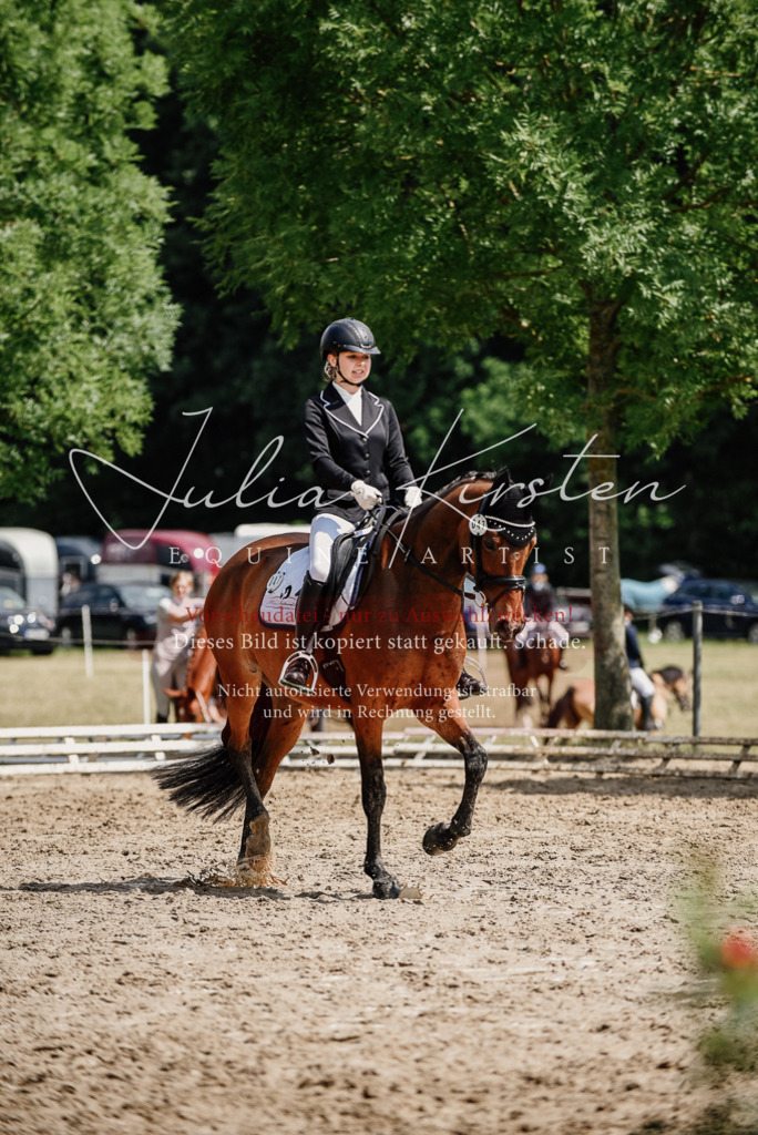 DSC_0899 | Pferde- und Turnierfotografie in Westsachsen. Pferdeportraits, Auftragszeichnungen und intuitive Kunst.