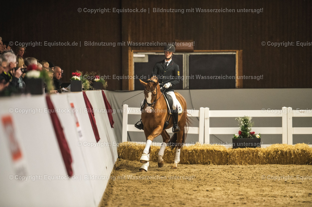 20240302_Hengstvorstellung_Marbach_TOMsPiC_0513-2 | equistock