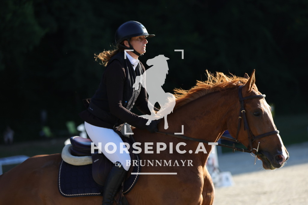 0P6A0511 | Willkommen bei Brunnmayr - Design & Fotografie – Ihrem Spezialisten für Reitturniere und Pferdeveranstaltungen in Oberösterreich, Salzburg und Bayern! Seit über 17 Jahren sind wir leidenschaftlich dabei.