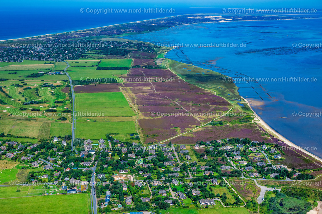 Sylt_Braderup_Braderuper_Heide_ELS_9308130825 | WENNINGSTEDT-BRADERUP (SYLT) 21.06.2025 Küstenbereich der Nordsee - Insel in Wenningstedt-Braderup (Sylt) Braderupper Heide Landschaft im Bundesland Schleswig-Holstein. // Coastal area of a??a??the North Sea - island in Wenningstedt-Braderup (Sylt) Braderupper Heide landscape in the state of Schleswig-Holstein. Foto: Martin Elsen
