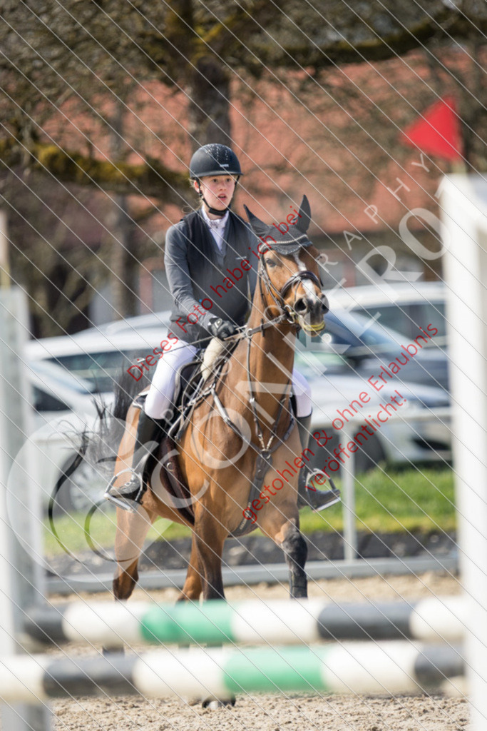 IMG_4087 | Sport-, Event- und Tierfotos in Profiqualität. Einfach auswählen, bestellen und herunterladen. Dein Moment – perfekt festgehalten.