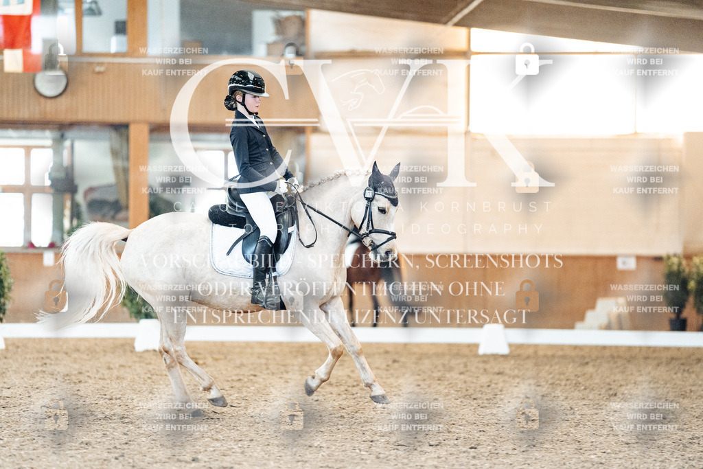CK907527 | Turnierfotografie Pferdefotografie Trier Rheinland-Pfalz Pferdesport Reitsport Tierfotografie Sportfotografie Pferdevideo Pferdevideografie Equestrianvideography equestrianphotography  - Realisiert mit Pictrs.com