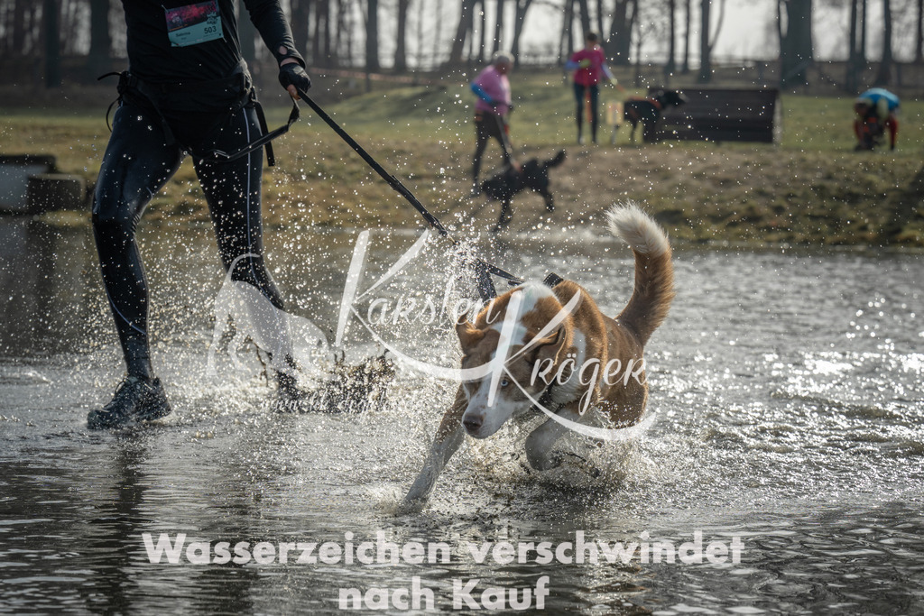 1019_ZZ96592 | kk-dogfotos