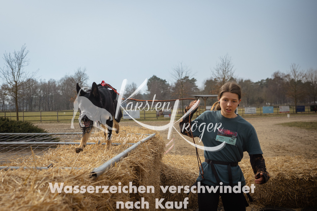 1118_ZZ92849 | kk-dogfotos
