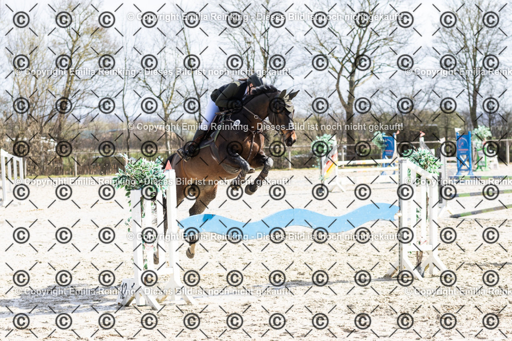 CL5A8082 | Emilia Reinking Fotografie - Realisiert mit Pictrs.com