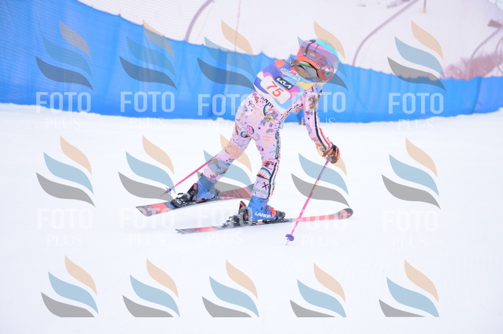 DSC_8125 | holidayphoto