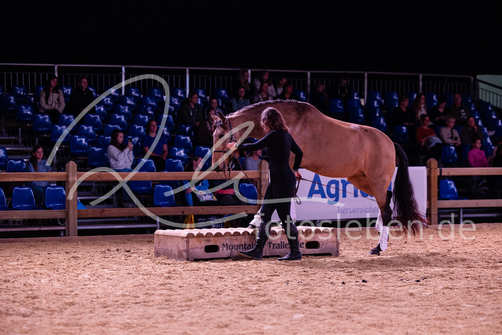 846A6824 | fotosleben - Realisiert mit Pictrs.com