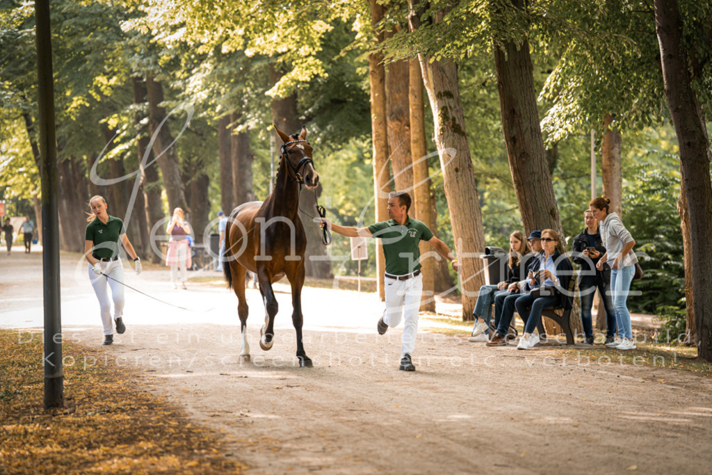 FrPfM00008 | Leoni Ertmer Photography - Realisiert mit Pictrs.com