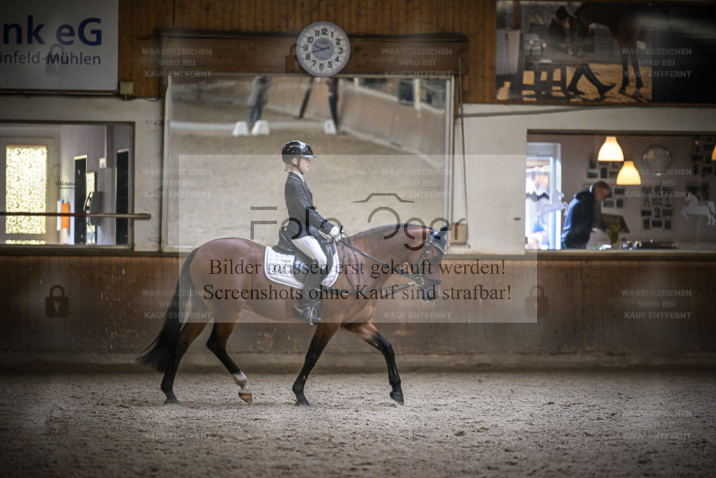 DOS_0032 | Entdecke hochwertige Reitturnierfotos von Foto Oger. Professionell, emotional und authentisch – jetzt Lieblingsmomente im Shop bestellen. - Realisiert mit Pictrs.com