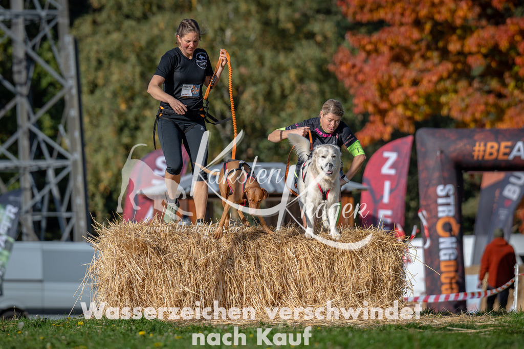 1026_ZZ90383 | kk-dogfotos