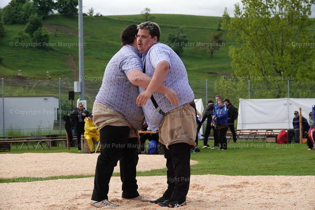 DSC00611 | Schwingen - Realisiert mit Pictrs.com