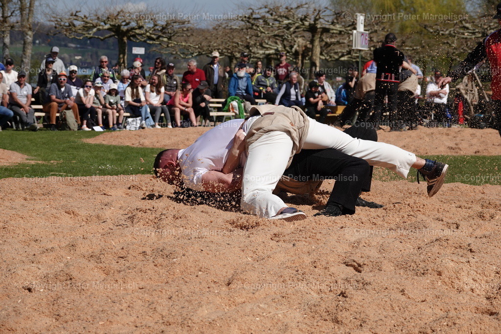 DSC02292 | Schwingen - Realisiert mit Pictrs.com
