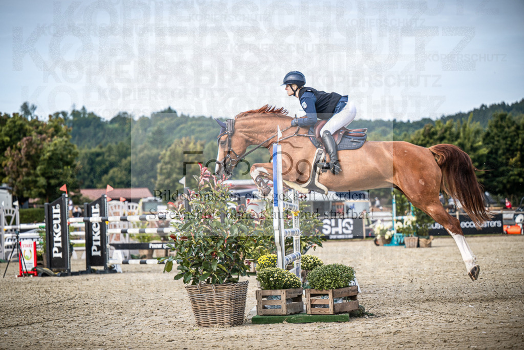 DOS_6527 | Entdecke hochwertige Reitturnierfotos von Foto Oger. Professionell, emotional und authentisch – jetzt Lieblingsmomente im Shop bestellen.Deutschlandweite Turnierfotografie. - Realisiert mit Pictrs.com