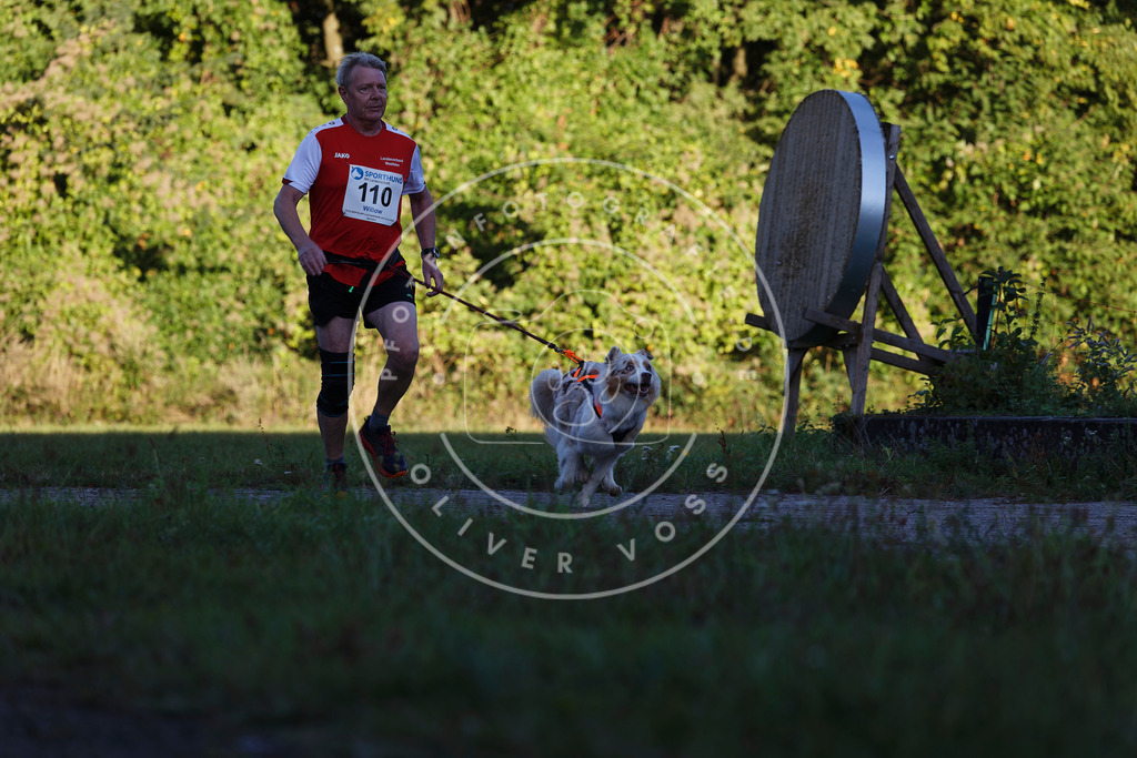 0L8A4599 | Hundefotografie, Tierfotograf, Pfotenfotografie, Fotoshooting Hund, Hunde Portrait, Hundesport, Hundeportraits, Heideshooting, Hunde, Sportfotograf, Hundefotograf, Turnierhundsport, THS,  - Realisiert mit Pictrs.com